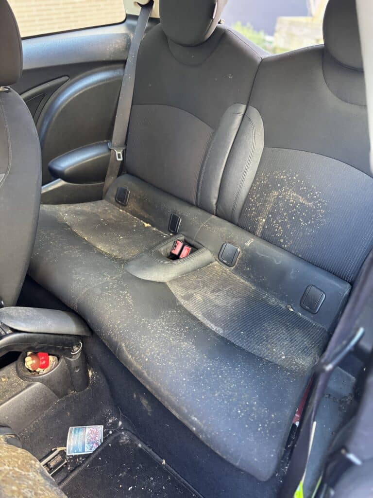 Sièges arrière de voiture noirs très sales couverts de taches de moisissure et de débris alimentaires.